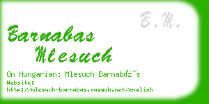 barnabas mlesuch business card